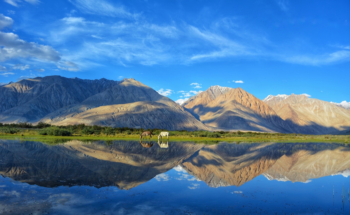 Latest and Breaking News on NDTV