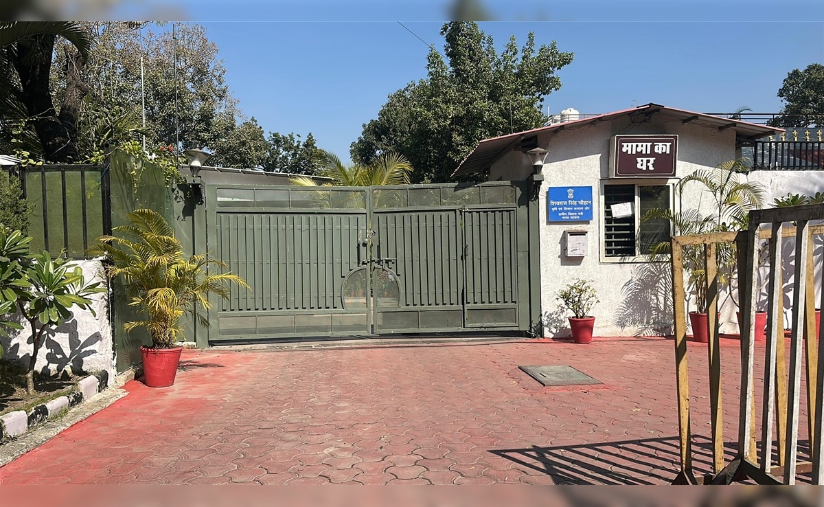 The Art of Baking: From Classic Bread to Artisan Pastries