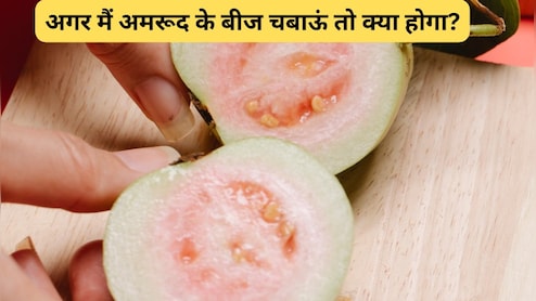 क्या अमरूद का बीज खाना अच्छा है? अमरूद के बीज चबाना चाहिए या निगलना चाहिए?