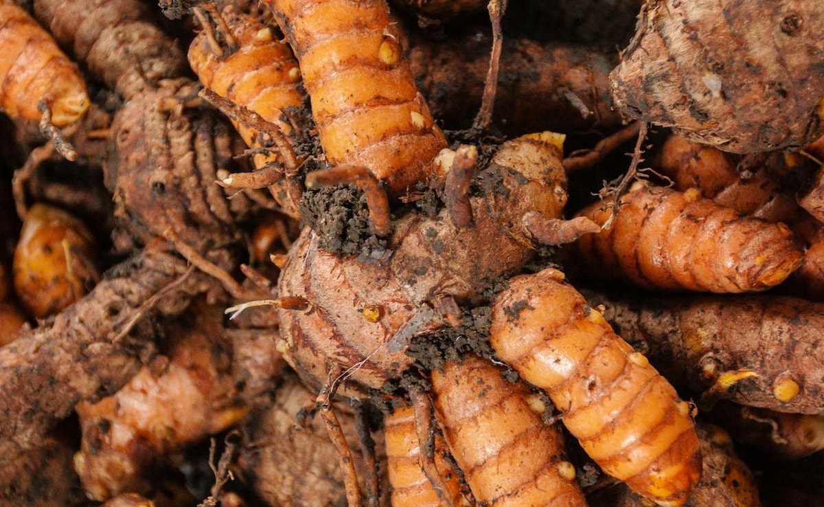 Latest and Breaking News on NDTV Latest and Breaking News on NDTV