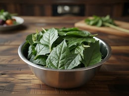 सर्दी की बीमारियों का एक देसी इलाज, मकोय का साग, 5 फायदे