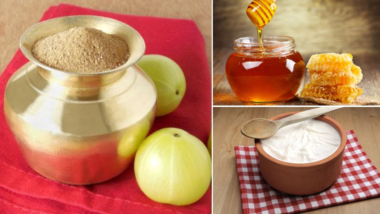 गर्म पानी, शहद, छाछ, दही...आंवला पाउडर में कौन सी चीज मिलाकर खाने से क्या फायदे होते हैं? आयुर्वेदिक डॉक्टर ने बताया सर्दी में इस तरह जरूर खाएं आंवला