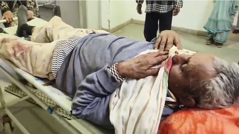 Panther Attack: शादी समारोह में पैंथर ने मचाया आतंक, 3 लोगों को झपट्टा मारकर किया घायल; इलाके में दहशत