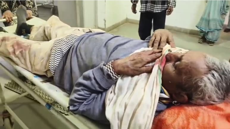 Panther Attack: शादी समारोह में पैंथर ने मचाया आतंक, 3 लोगों को झपट्टा मारकर किया घायल; इलाके में दहशत