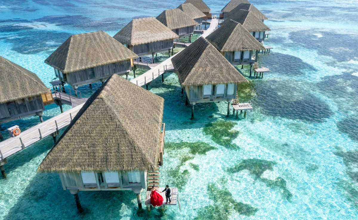 Latest and Breaking News on NDTV