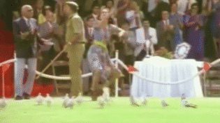 क्या स्वाद है जिंदगी का... रोहित शर्मा को किस करने वाले का यह वीडियो देख 'वो' लड़की याद आ जाएगी