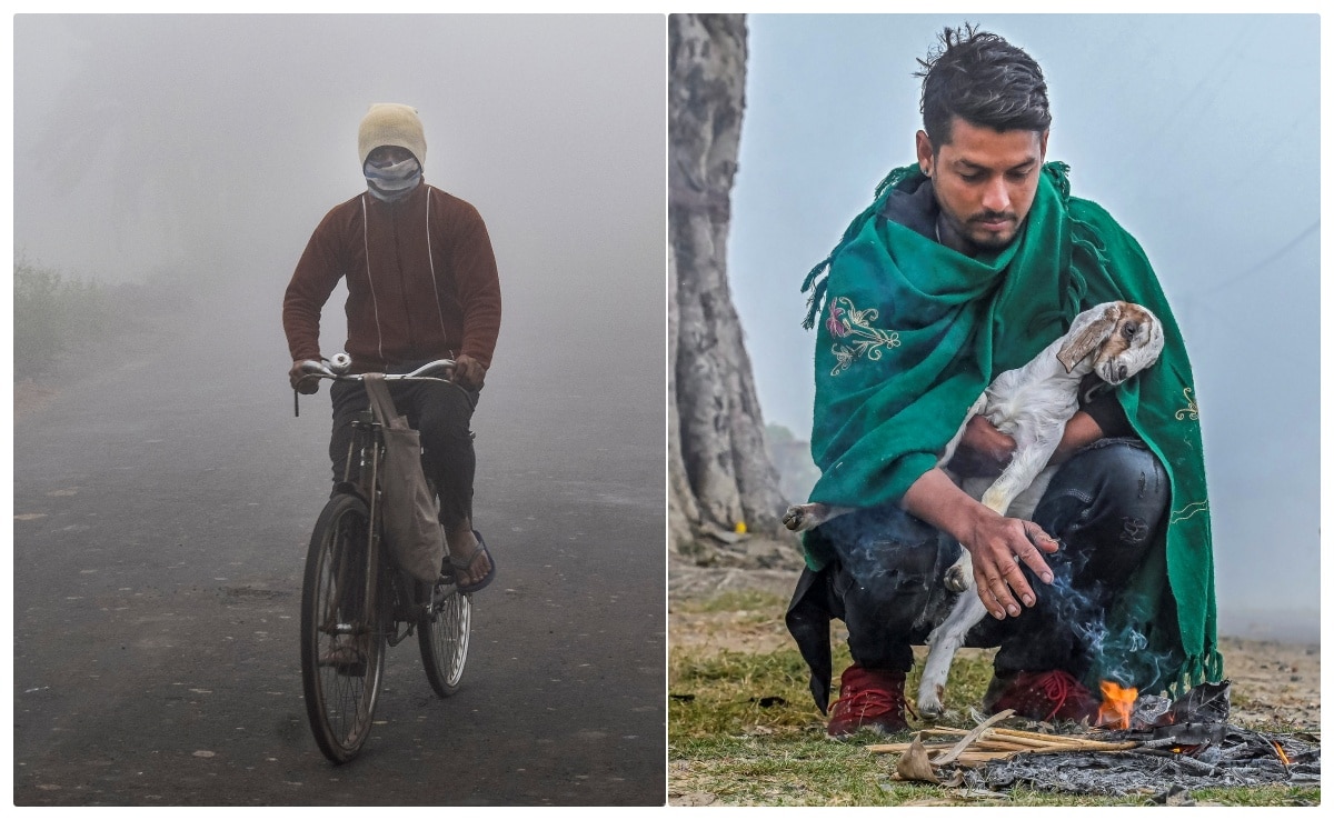 PTI फोटो. PTI फोटो.