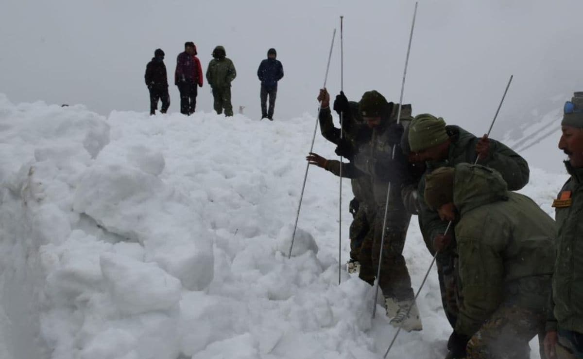 -30 Degrees, Low Oxygen Levels: How Army Survives In Himalayas During Winter