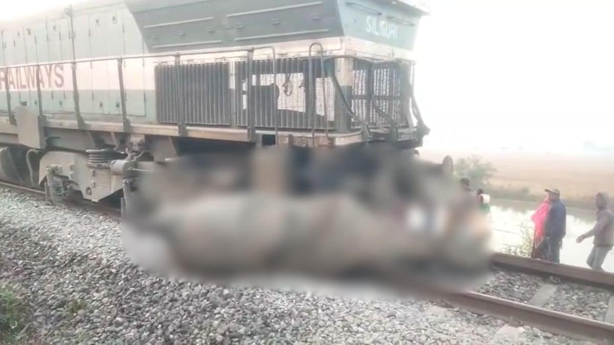 Latest and Breaking News on NDTV