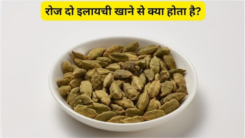 रोज दो इलायची खाने से क्या होता है? हरी इलायची खाने से कौन सी बीमारी ठीक होती है? इलायची गर्म होती है या ठंडी?
