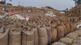 Dhan Kharidi: कवर्धा में धान का उठाव नहीं... केंद्रों में लगा जाम, किसान हो रहे परेशान, समिति प्रभारियों की भी बढ़ी समस्या