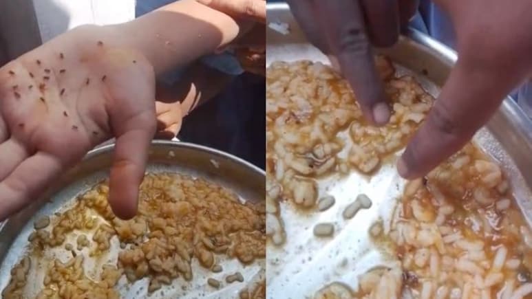 Cook Suspended Day After Worms Found In Rice In Karnataka Mid-Day Meal