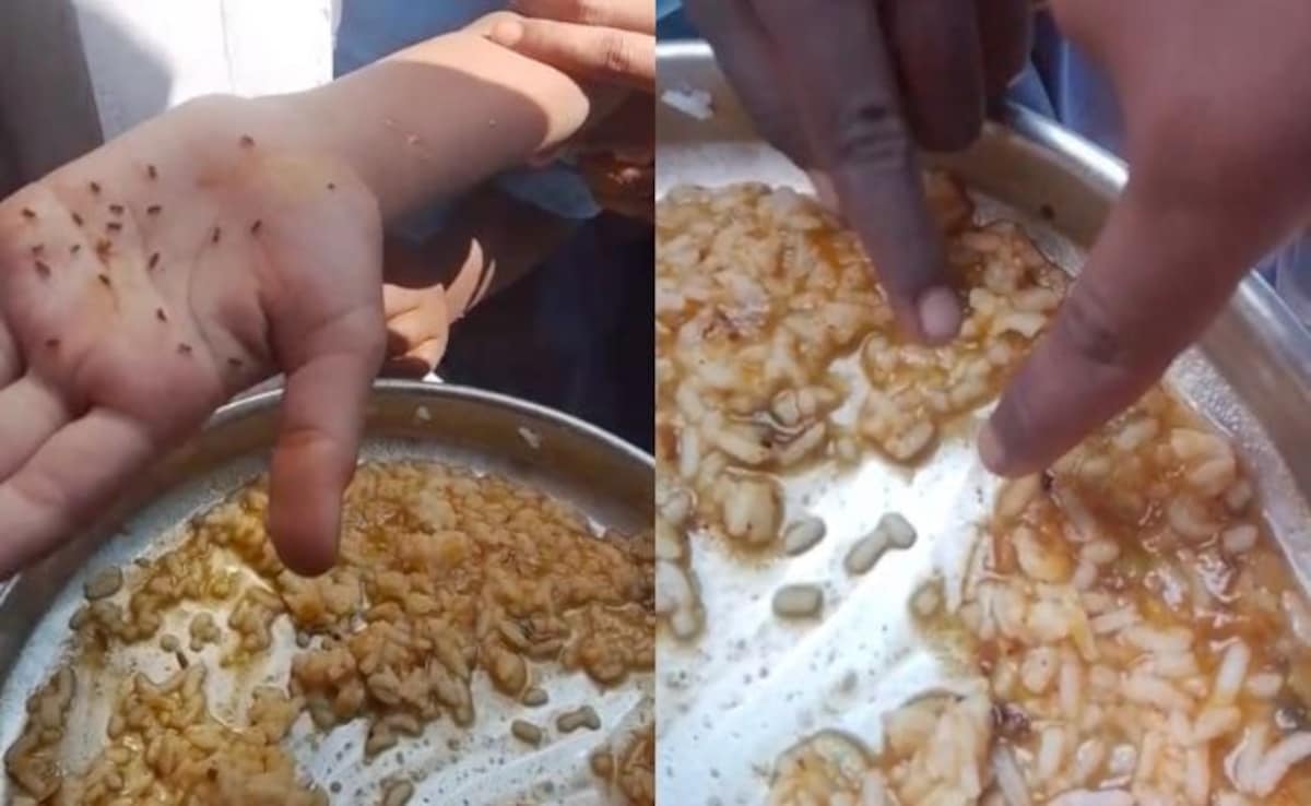 Worm-Infested Rice Found In Karnataka's Mid-Day Meals