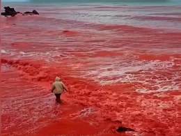 सर्वात भयंकर! समुद्राचं पाणी अचानक का होतंय लाल? यामागचं कारण वाचून धक्काच बसेल, Video पाहिला का?