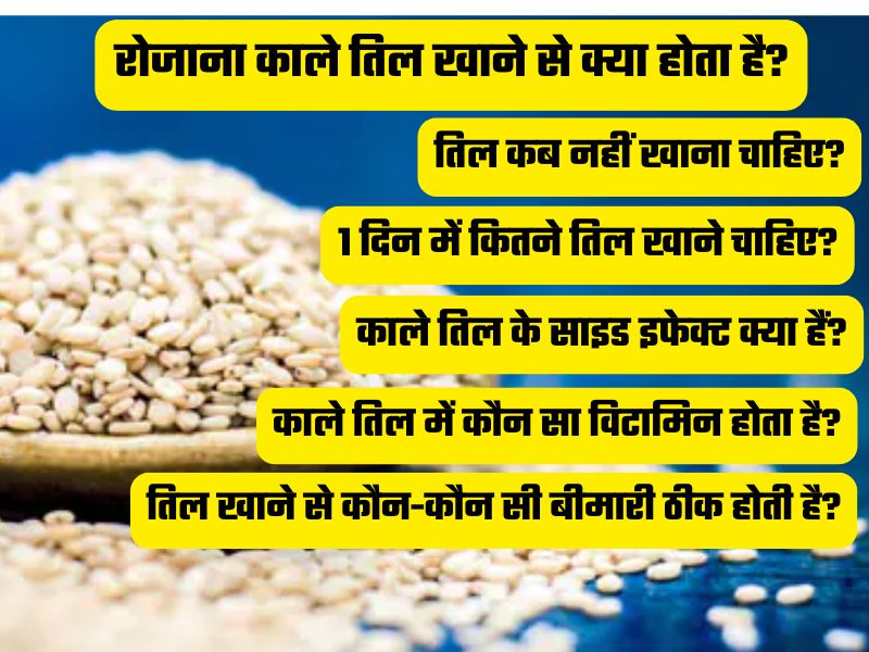 सर्दियों में रोज तिल खाने से क्या होगा? 1 दिन में कितने तिल खाएं, सफेद या काला कौन सा तिल है ज्यादा फायदेमंद, किन बीमारियों में फायदेमंद