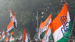 Nagpur Election 2026: नागपुरात काँग्रेसची ठाकरे गटासह मुस्लीम लीगला साद; नव्या समीकरणामागे खेळी काय?