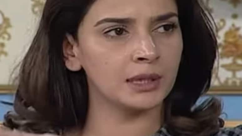 पाकिस्तानी होने की वजह से जब एयरपोर्ट पर हुआ था इस एक्ट्रेस की अपमान, कहा था- मुझे रोका गया क्योंकि मेरे पास पाकिस्तान का पासपोर्ट था