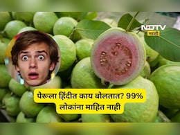 पेरूला हिंदी मध्ये काय म्हणतात? 99 टक्के लोकांना माहितच नाही