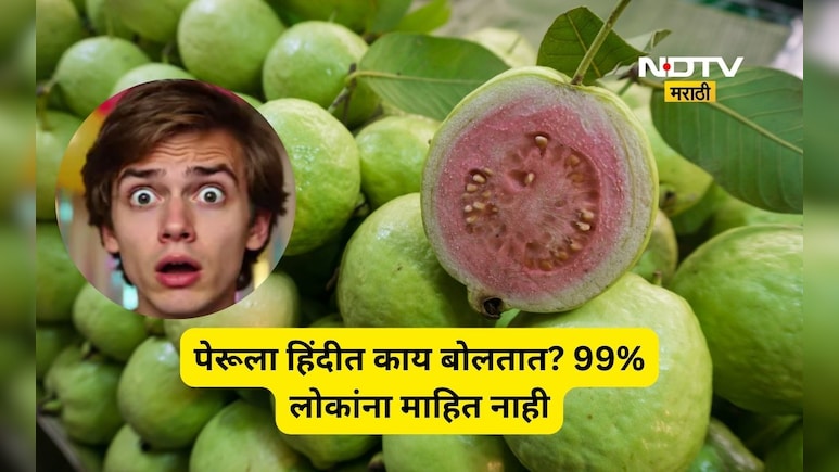पेरूला हिंदी मध्ये काय म्हणतात? 99 टक्के लोकांना माहितच नाही