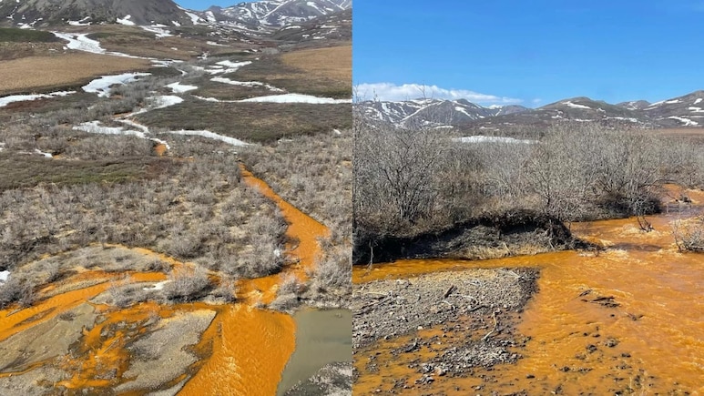 जल रहा है दुनिया का 'फ्रिज', आर्कटिक की सैकड़ों नदियों का रंग हुआ नारंगी, आने वाली है बड़ी तबाही!