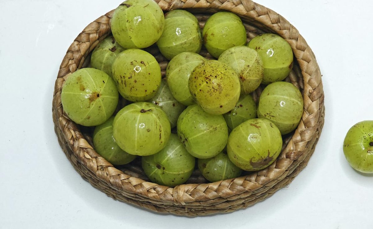 Latest and Breaking News on NDTV Latest and Breaking News on NDTV