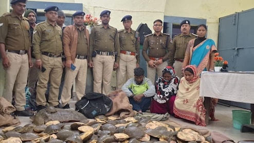 बिहार-झारखंड की ट्रेनों से हजारों कछुए बरामद-यूपी से चीन तक समझिए तस्करी का नेटवर्क