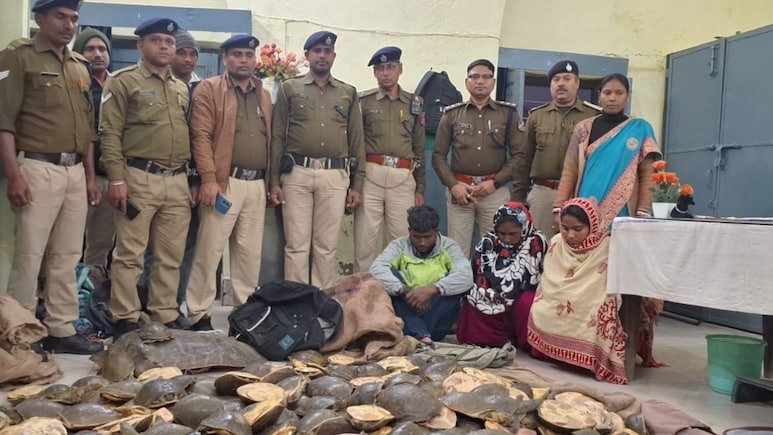 बिहार-झारखंड की ट्रेनों से हजारों कछुए बरामद-यूपी से चीन तक समझिए तस्करी का नेटवर्क