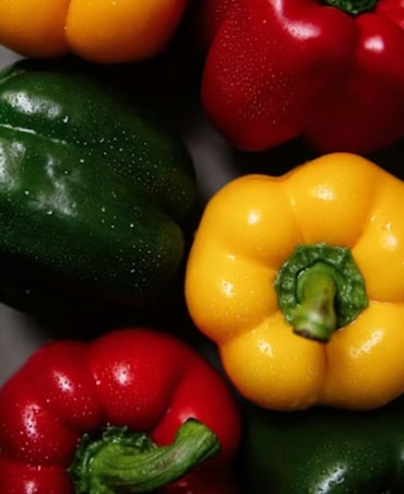 Benefits Of Adding Bell Pepper To Your Diet