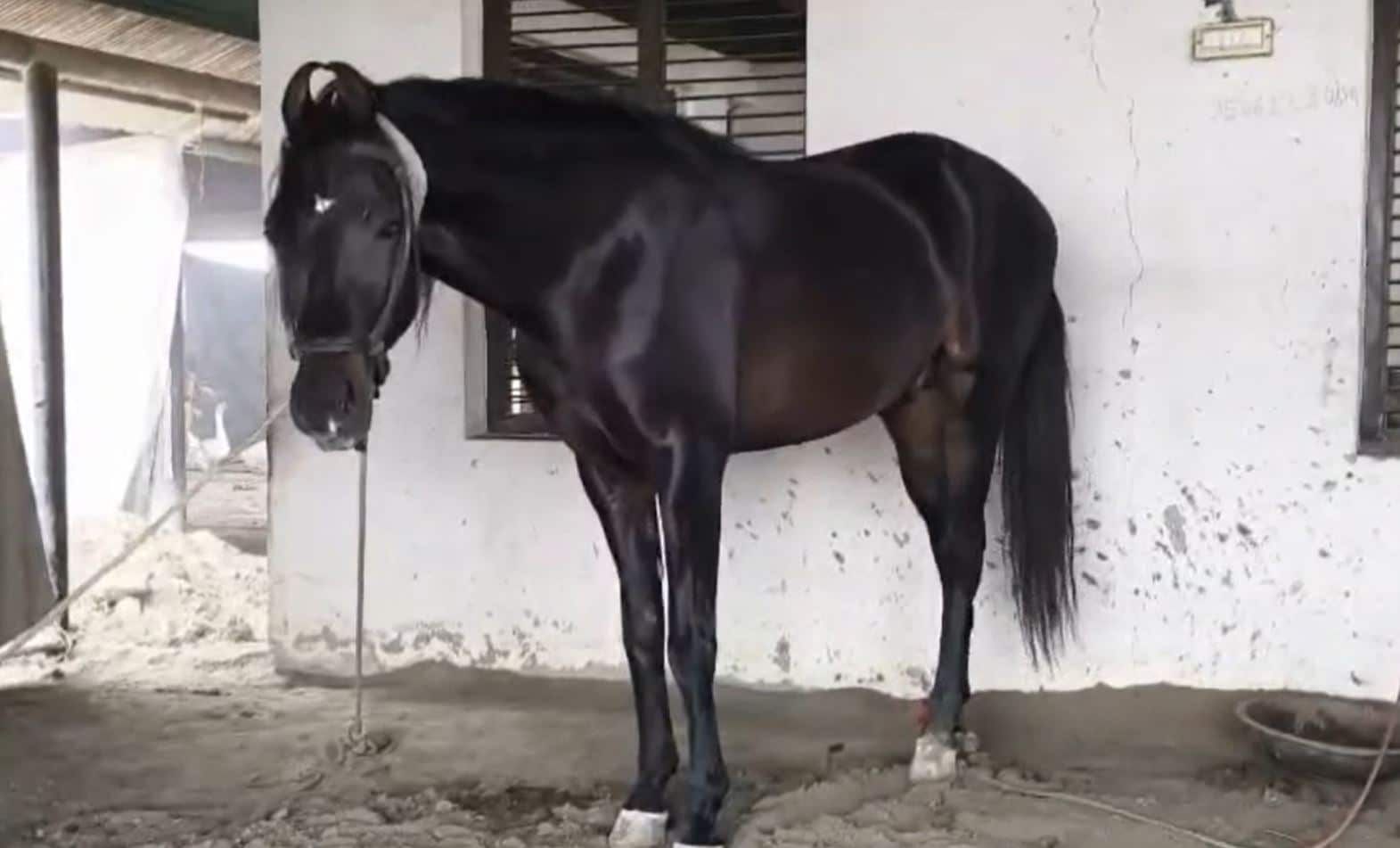 Latest and Breaking News on NDTV Latest and Breaking News on NDTV