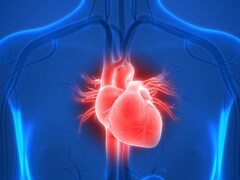 दिल की सेहत से जुड़े 8 बड़े झूठ, जिन्हें लोग आज भी सही मान लेते हैं, कार्डियोलॉजिस्ट ने बताई सच्चाई