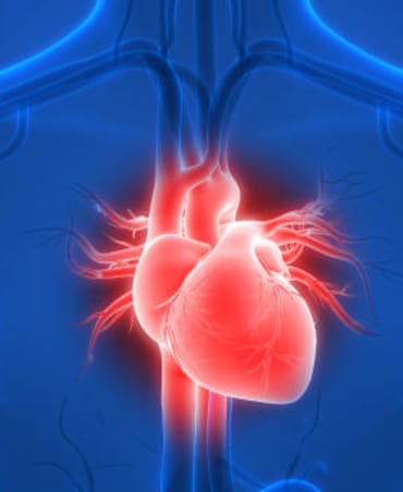 10 Foods Good For Heart