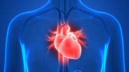 Cardiologist Debunks 8 Heart Health Myths You Need To Drop Right Away