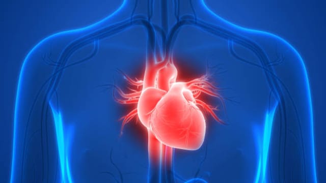 Cardiologist Debunks 8 Heart Health Myths You Need To Drop Right Away