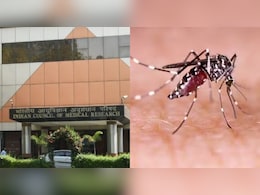 भारत जल्द हो सकता है मलेरिया मुक्त, ICMR की रिपोर्ट में दावा- 92% जिलों में असर बेहद कम