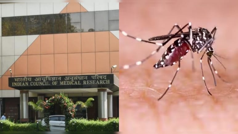 भारत जल्द हो सकता है मलेरिया मुक्त, ICMR की रिपोर्ट में दावा- 92% जिलों में असर बेहद कम