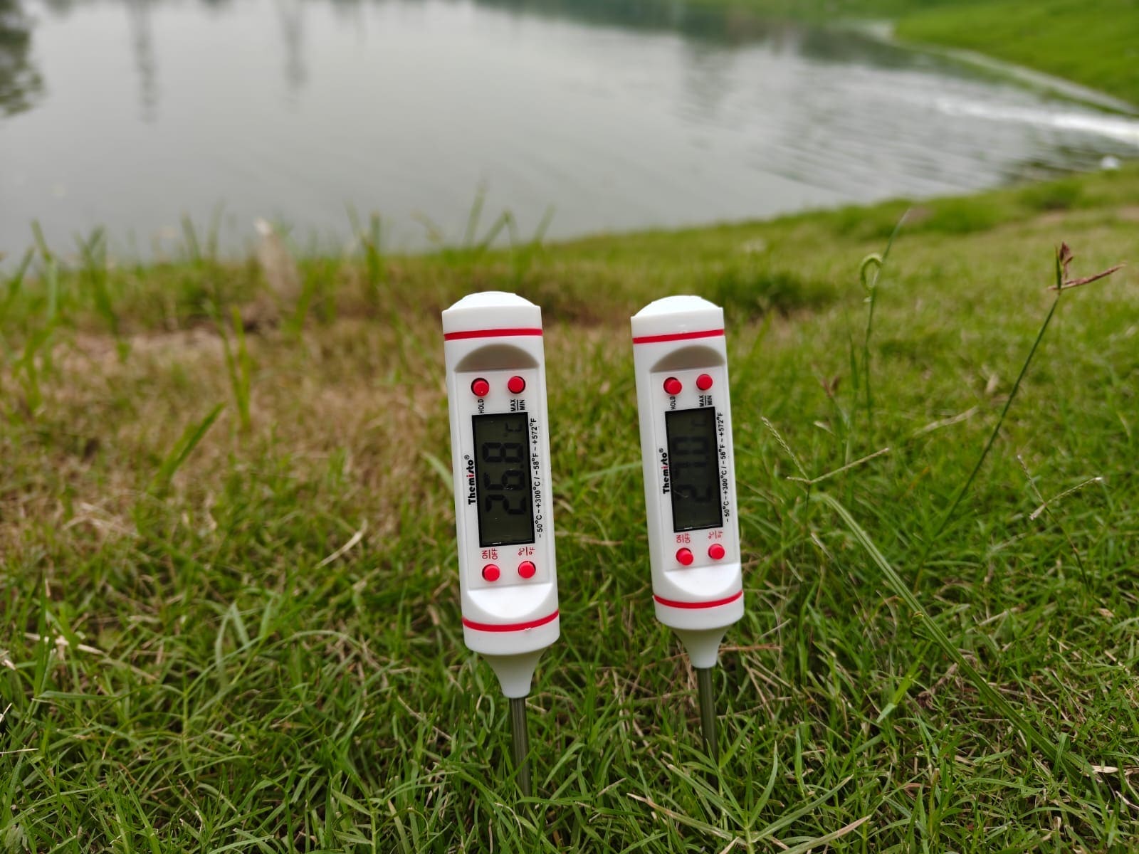 दिल्ली का बांसेरा पार्क दिल्ली का बांसेरा पार्क