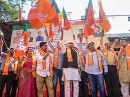 BJP Single-Largest Party, Alliance Sweeps Maharashtra Local Body Polls