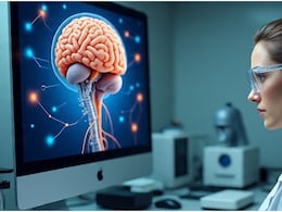 दिमाग कैसे गिनता है आपके कदम? वैज्ञानिकों ने खोजा वह 'Neural Code' जो दूरी मापता है, अल्जाइमर के इलाज में मिलेगी बड़ी मदद