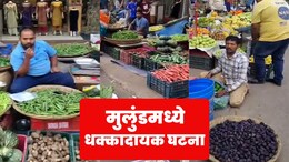 मुलुंडमध्ये परप्रांतीय फेरीवाल्यांची भयंकर दादागिरी, संघटनाही उभारली; आक्षेप घेणाऱ्यांचा पाठलाग