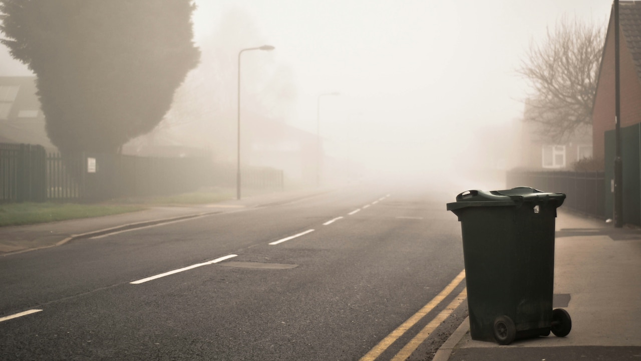 Choose The Right Bin Size For Each Room In Your Home