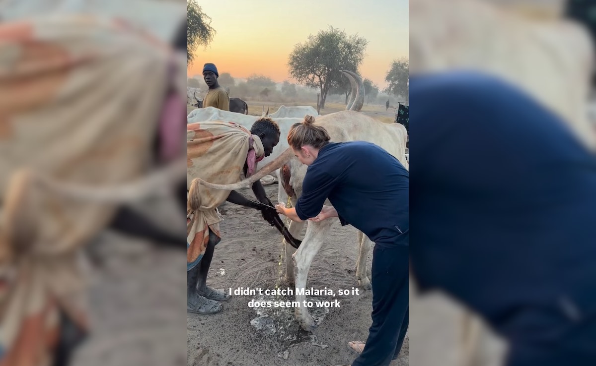 Latest and Breaking News on NDTV