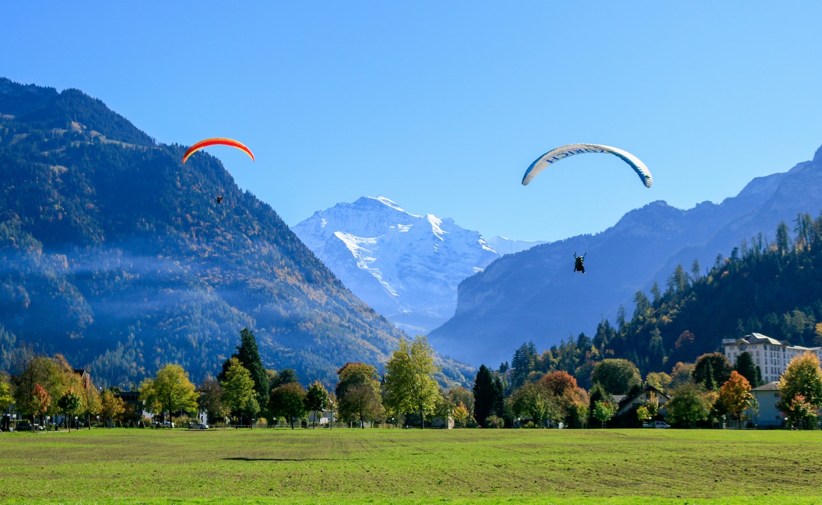 Latest and Breaking News on NDTV