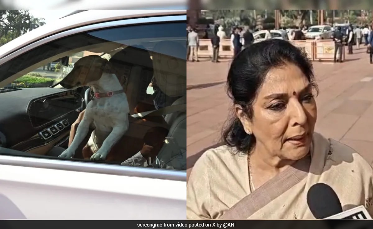 Pets Not Allowed Inside Parliament: CISF On Renuka Chowdhury Incident