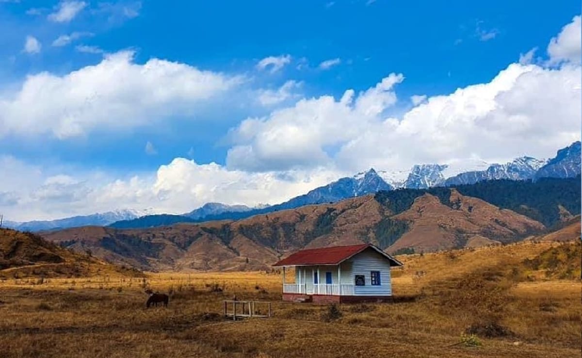 Latest and Breaking News on NDTV