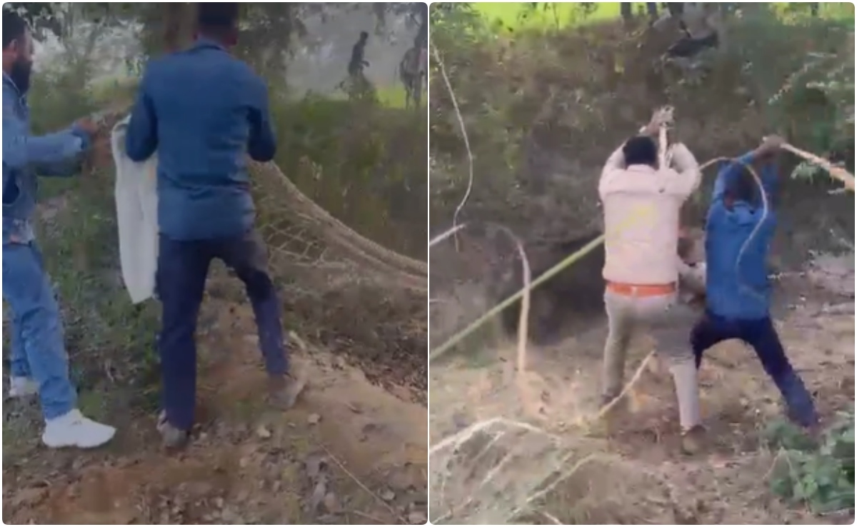 जंगली सुअर ने बोला हमला, दर्द से झटपटा रहा वन विभाग का दारोगा, वीडियो देख हिल जाएंगे