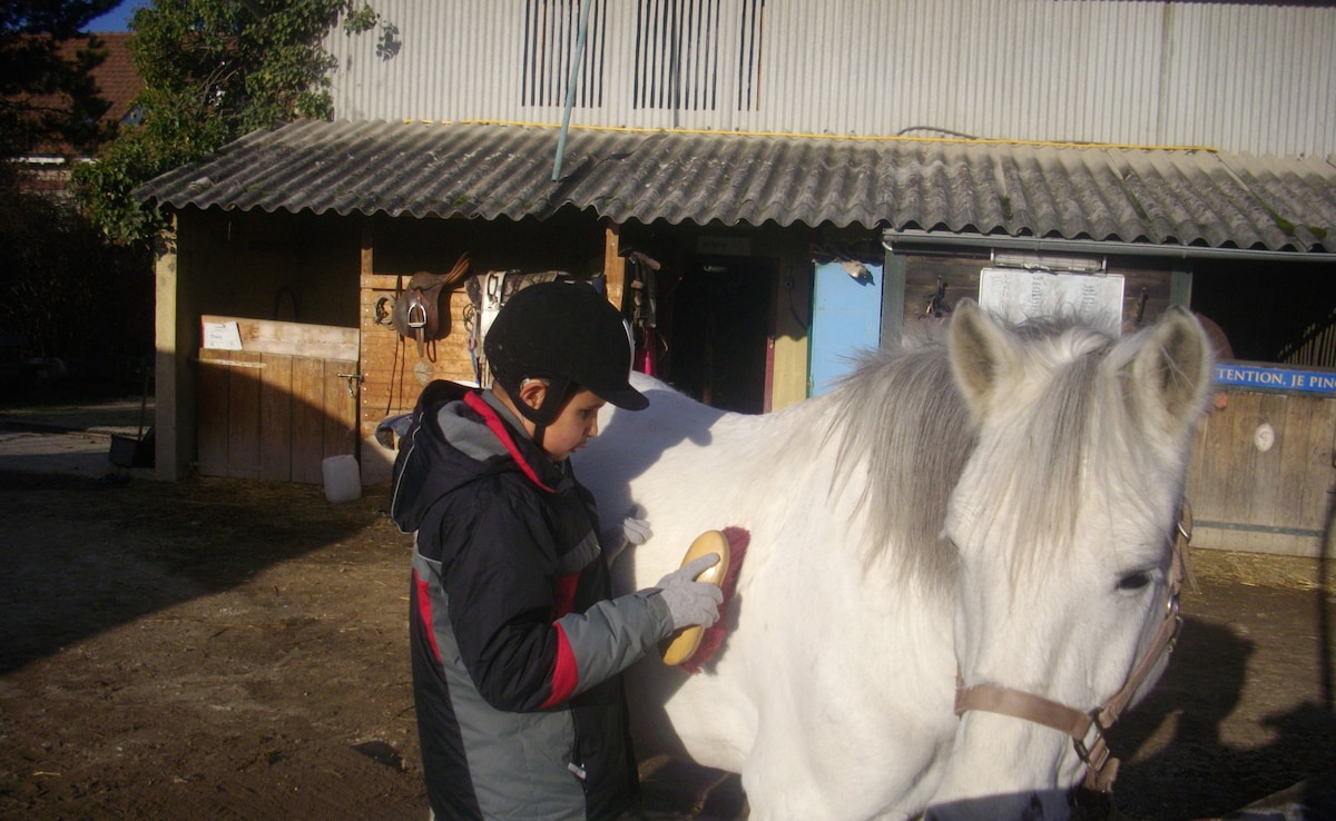 Activities like equine therapy provide structure to Ruzbehs life Activities like equine therapy provide structure to Ruzbehs life