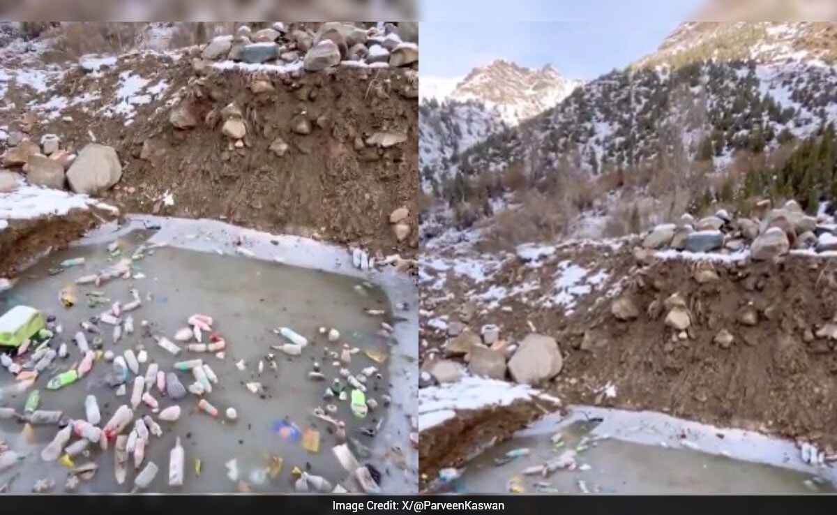 Video Showing Garbage Dump At 13,000 Feet In Himachal Pradesh Sparks Outrage Online
