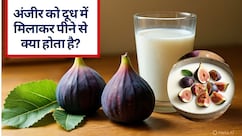 दूध में रात भर भिगो दें अंजीर और सुबह खाली पेट कर लें सेवन, मिलेंगे 8 बड़े फायदे