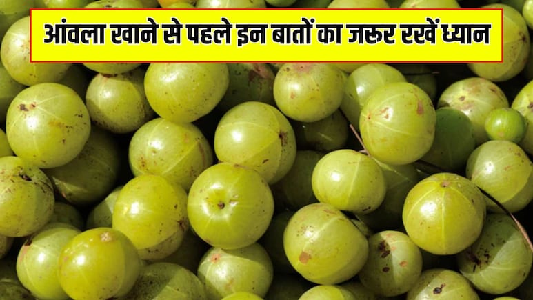 आंवला खाने से पहले इन 6 बातों का जरूर रखें ध्यान, डाइटिशियन ने बताया तभी मिलेंगे फायदे