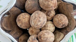 सूखे हुए नींबू को कभी नहीं फेंकें, कीड़े-मकोड़ों को भगाने के लिए ऐसे करें इस्तेमाल, इन 3 कामों में करेंगे बहुत मदद